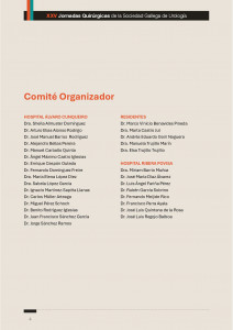 Comité Organizador